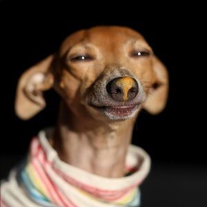 Meet your Posher, Katia